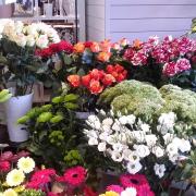 20150227_160353