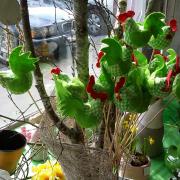 20150306_120425