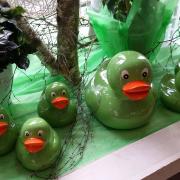 20150314_143113