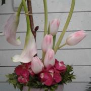 20180310_092640