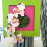 Photo0566