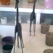 Photo0618