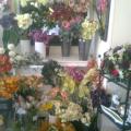 Photo0632