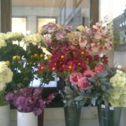 Photo0633