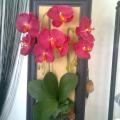 Photo0636