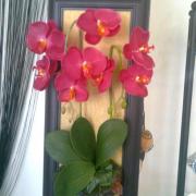 Photo0636