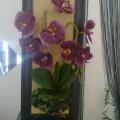 Photo0637