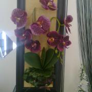 Photo0637