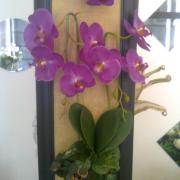 Photo0638