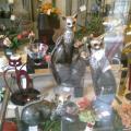 Photo0770